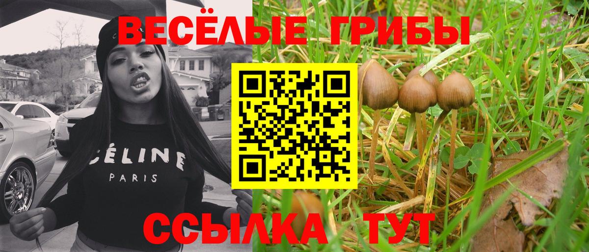 Марихуана  Альфа ПВП СОЛЬ   Красногорск  ЭКСТАЗИ  Продажа наркотиков  ГАШИШ  Cocaine  LSD-25  Меф кристаллы  Вход с VPN 