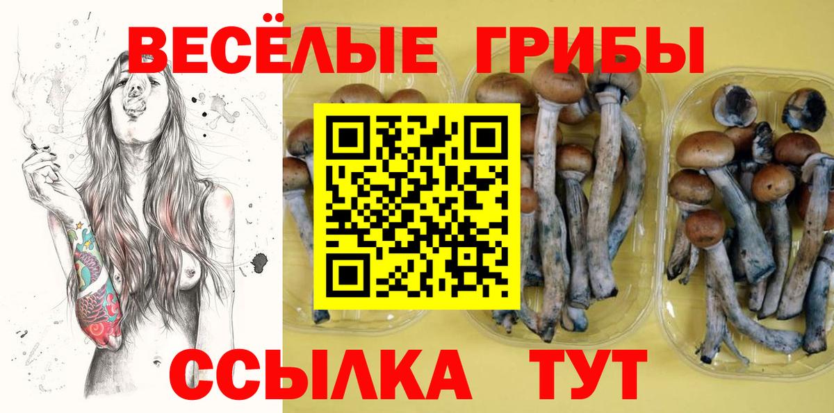 Галлюциногенные грибы ЛСД Красногорск